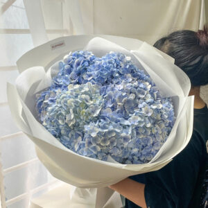 Blue flowers