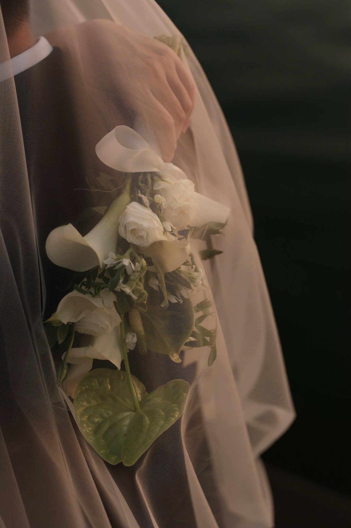 Whispers in White - Image 5