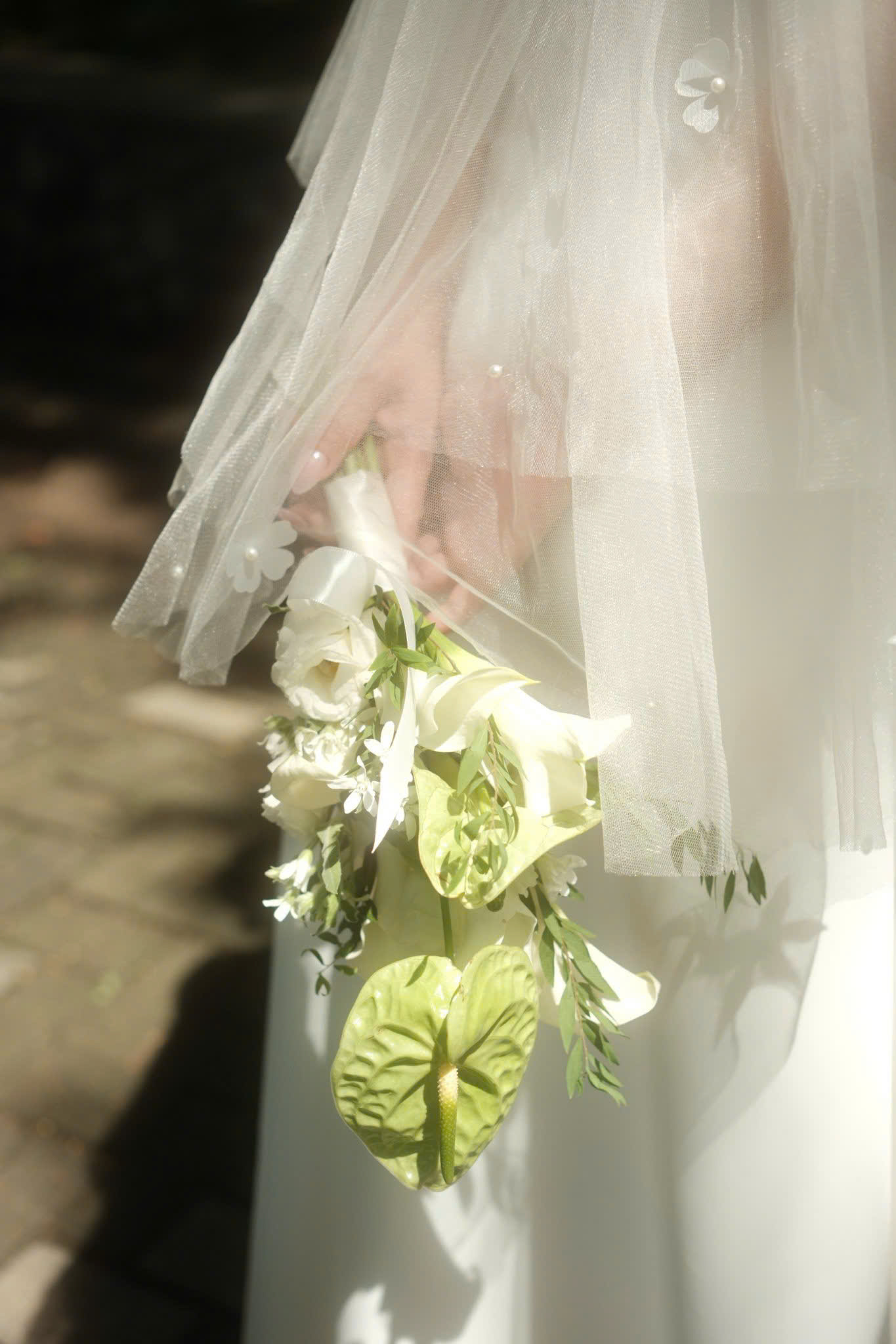 Whispers in White - Image 4